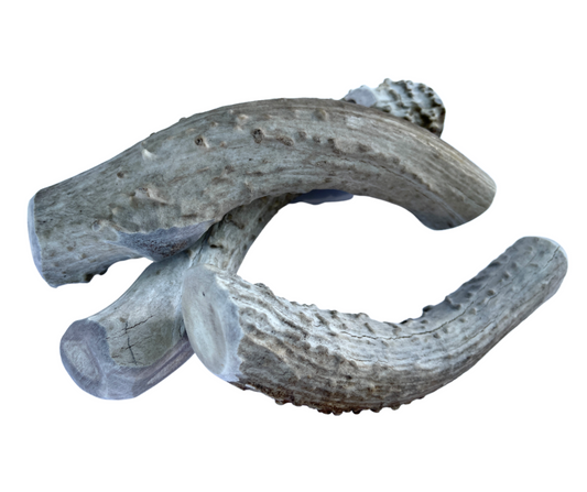 Jumbo Whole Deer Chew