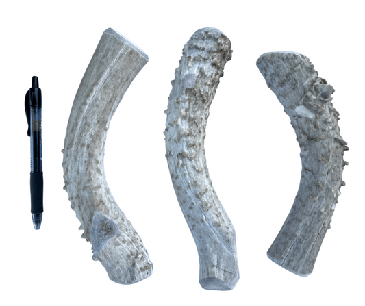 Jumbo Whole Deer Chew