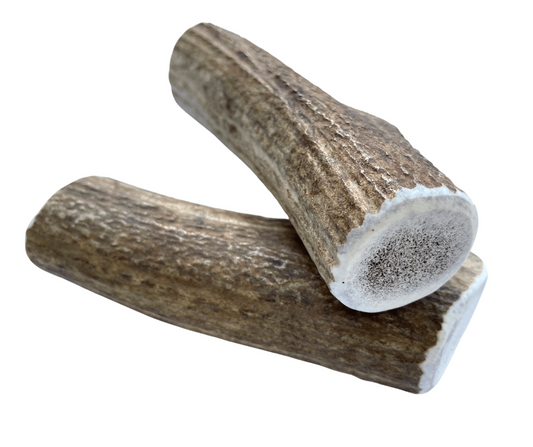 Jumbo Whole Elk Chew