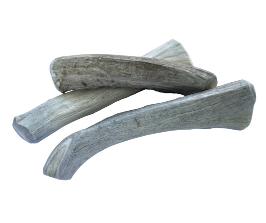 Large Whole Deer Chew