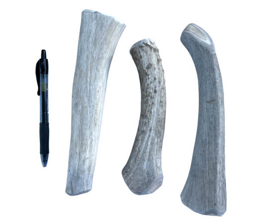 Large Whole Deer Chew