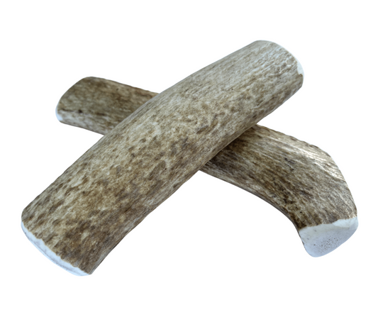 Large Whole Elk Chew
