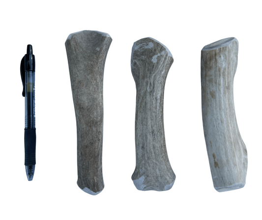 Medium Whole Deer Chew