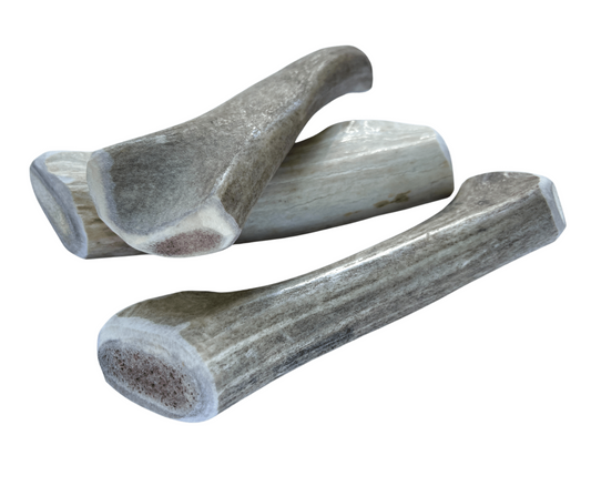Medium Whole Deer Chew