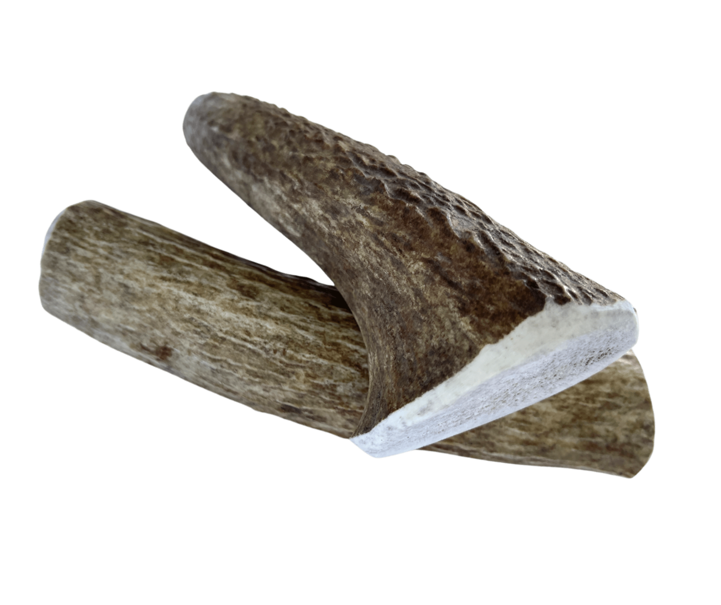 Medium Whole Elk Chew