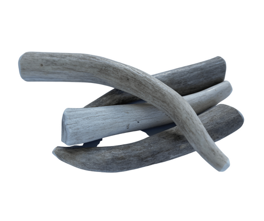 Small Whole Deer Chew