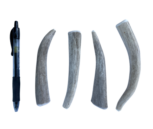 Small Whole Deer Chew