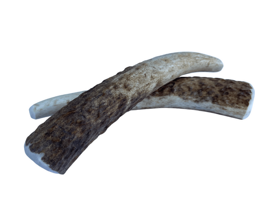Small Whole Elk Chew